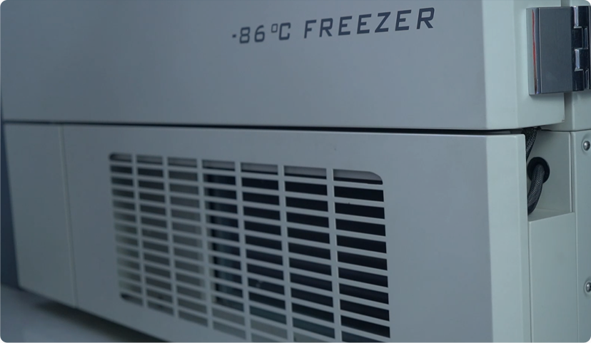 超低温冰箱过滤网清洗步骤